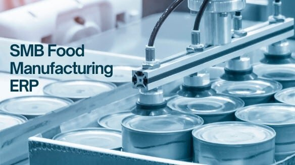 Best Erp For Professional Services