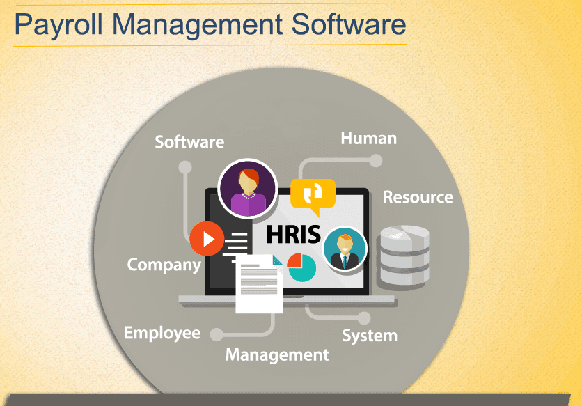 Hr Employee File Management Software